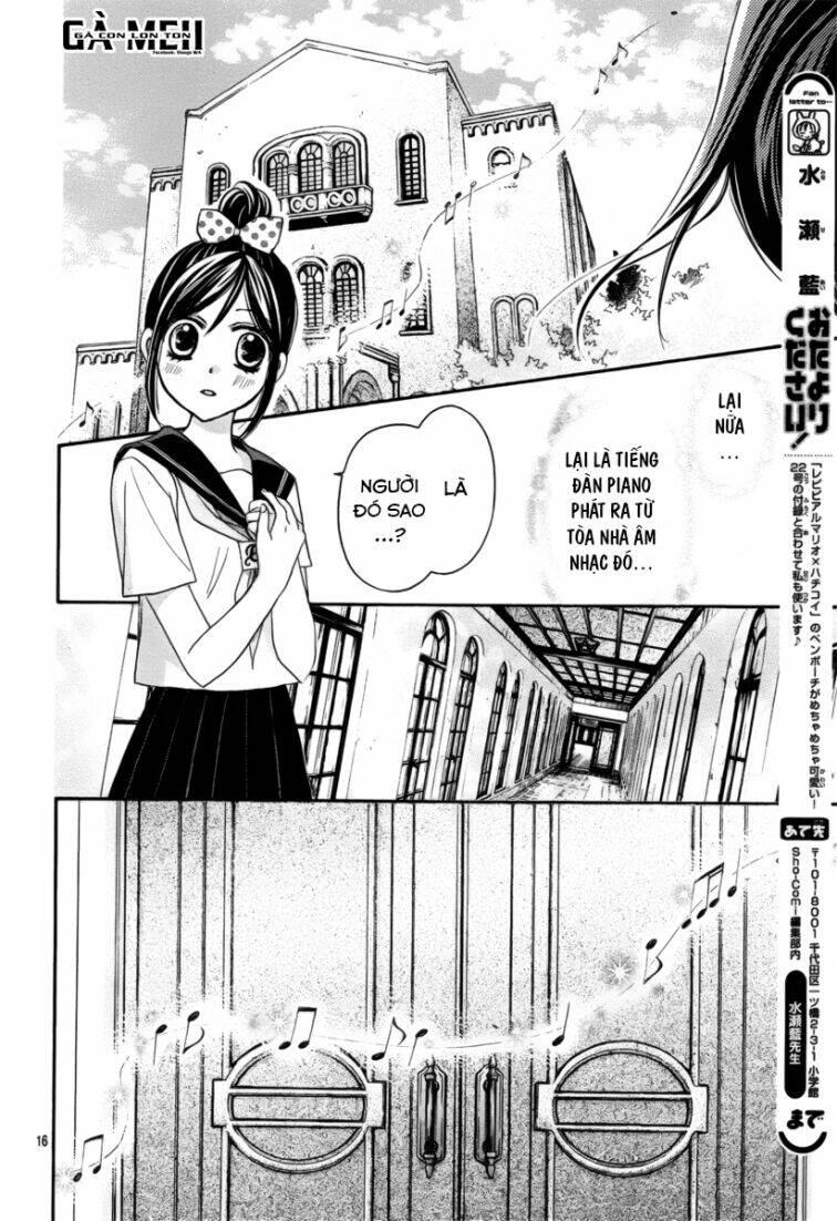 Hachimitsu Ni Hatsukoi: Chapter 13