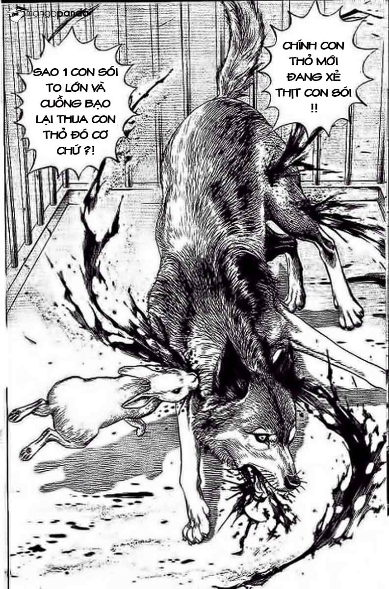 Tough - Miyazawa Kiichi: Chapter 234