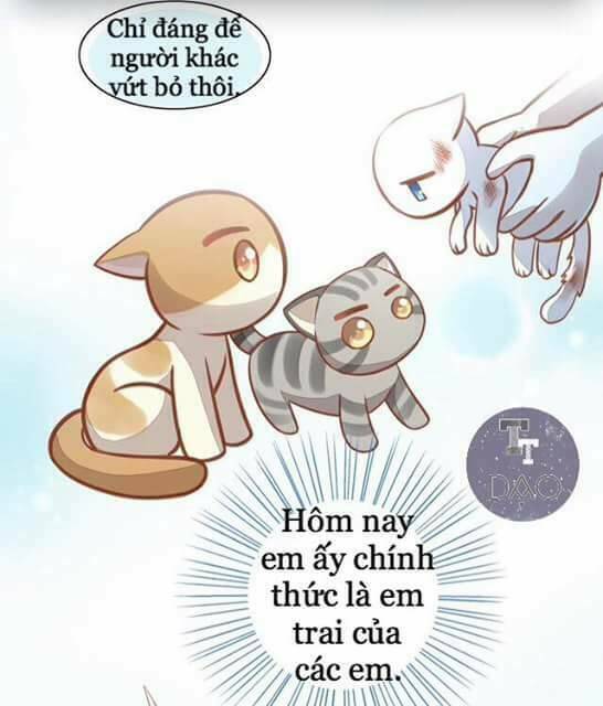 Dưới Móng Vuốt Mèo: Chapter 8