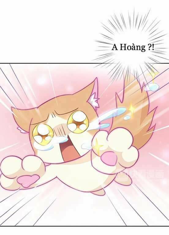 Dưới Móng Vuốt Mèo: Chapter 5