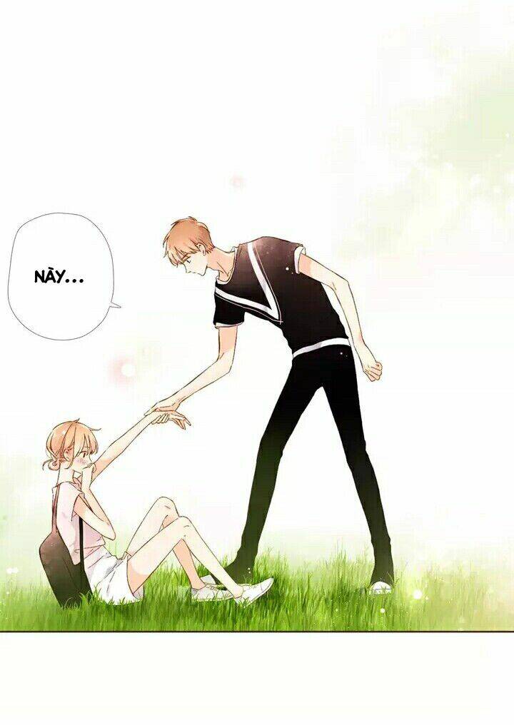 Tình Yêu Là Màu Hoa Anh Thảo: Chapter 28.2
