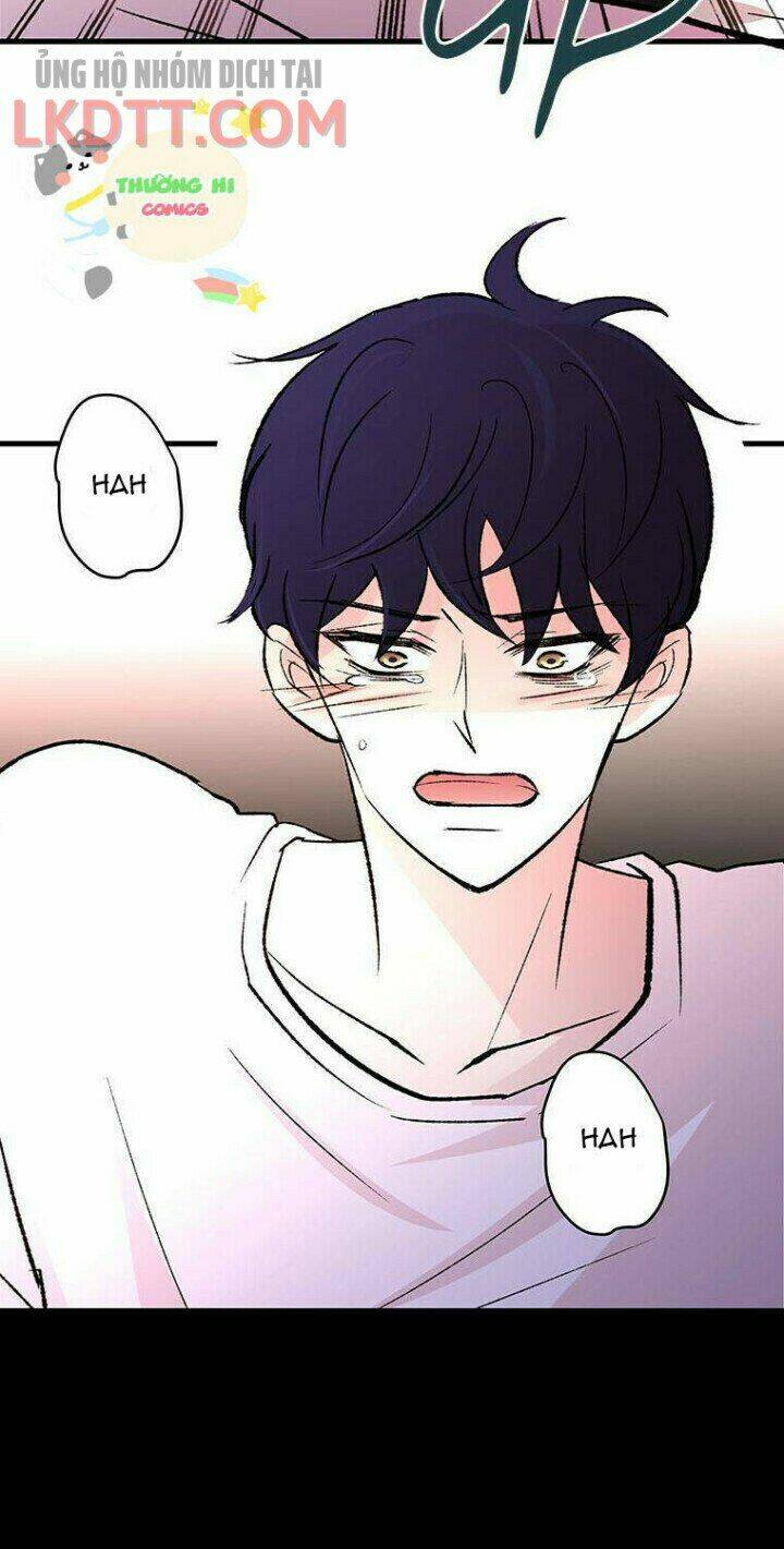 Từng Bước Đến Bên Anh: Chapter 5