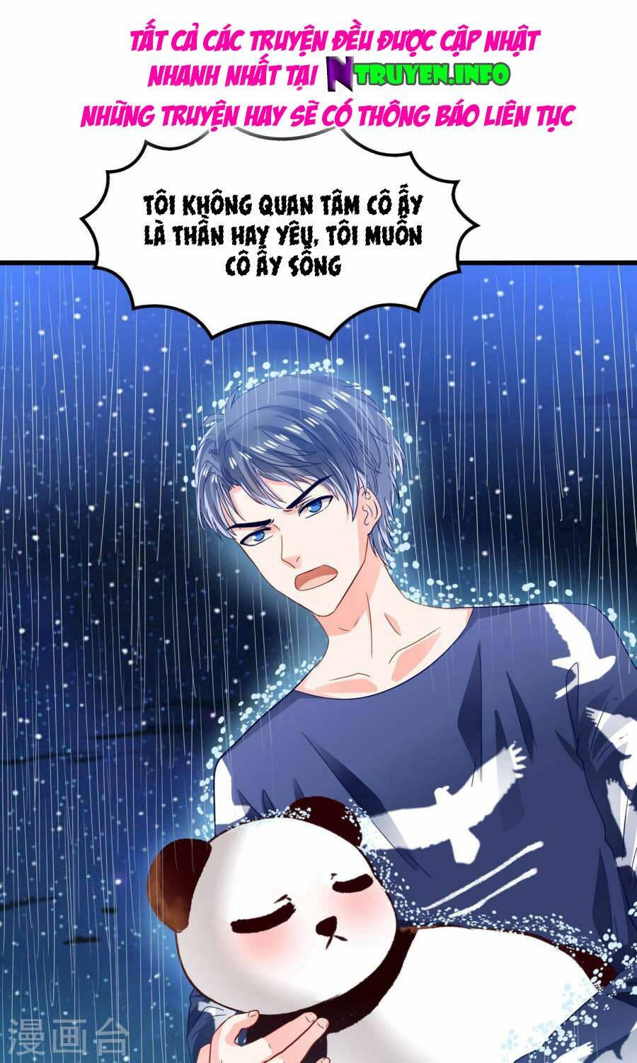 Tôi Bị Gấu Trúc Nhìn Trúng Rồi: Chapter 11