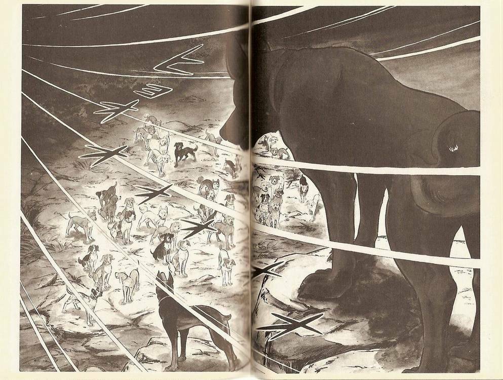 Chú Chó Có Nghĩa - Ginga Nagareboshi Gin: Chapter 11