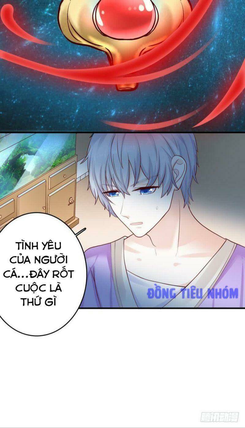 Nhân Ngư Học Trưởng, Đừng Ôm Ta!: Chapter 52
