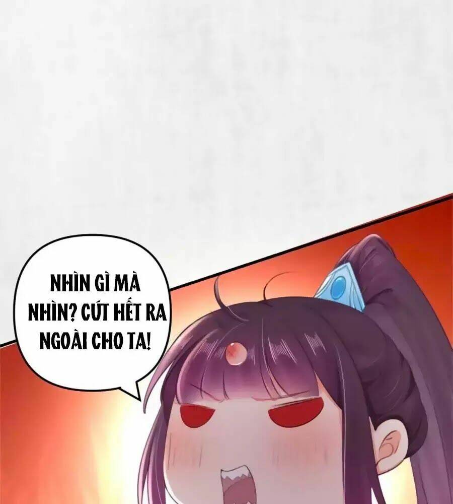 Hoạn Phi Hoàn Triều: Chapter 37