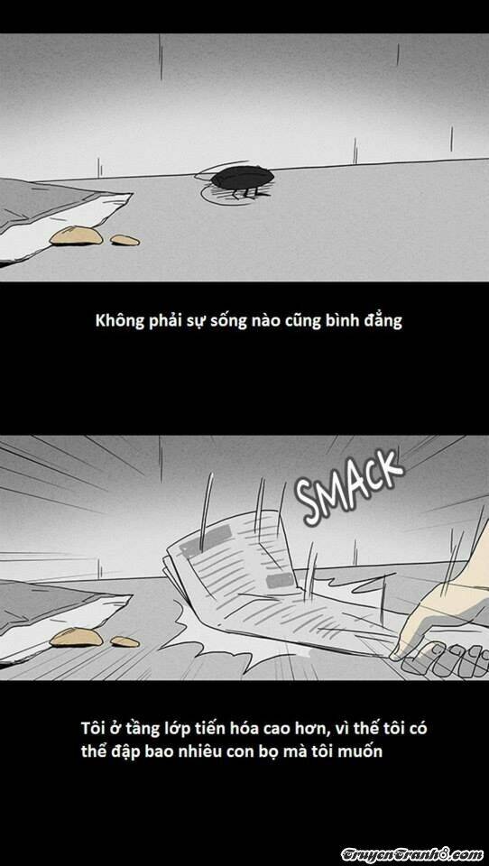 Những Câu Chuyện Bất Thường: Chapter 56