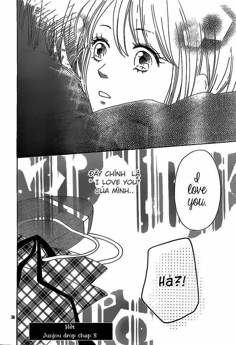 Junjou Drop: Chapter 3