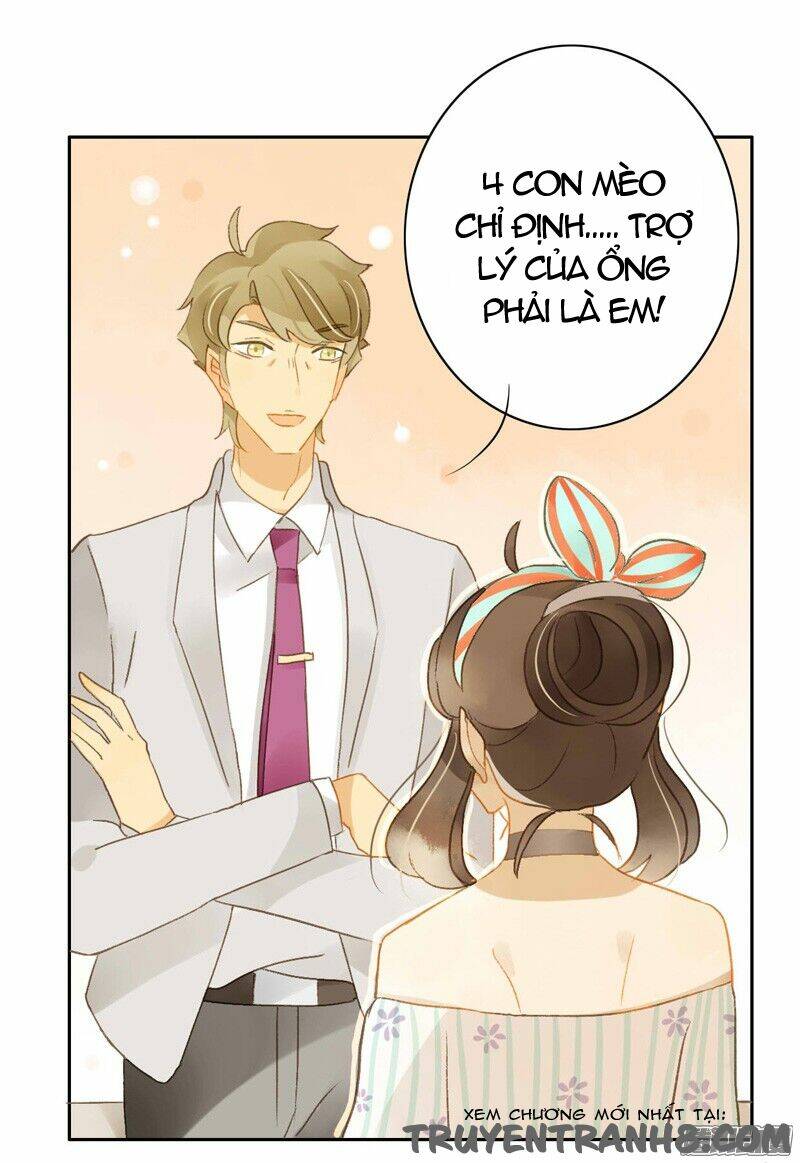 Sức Mạnh Của Sắc Đẹp: Chapter 127