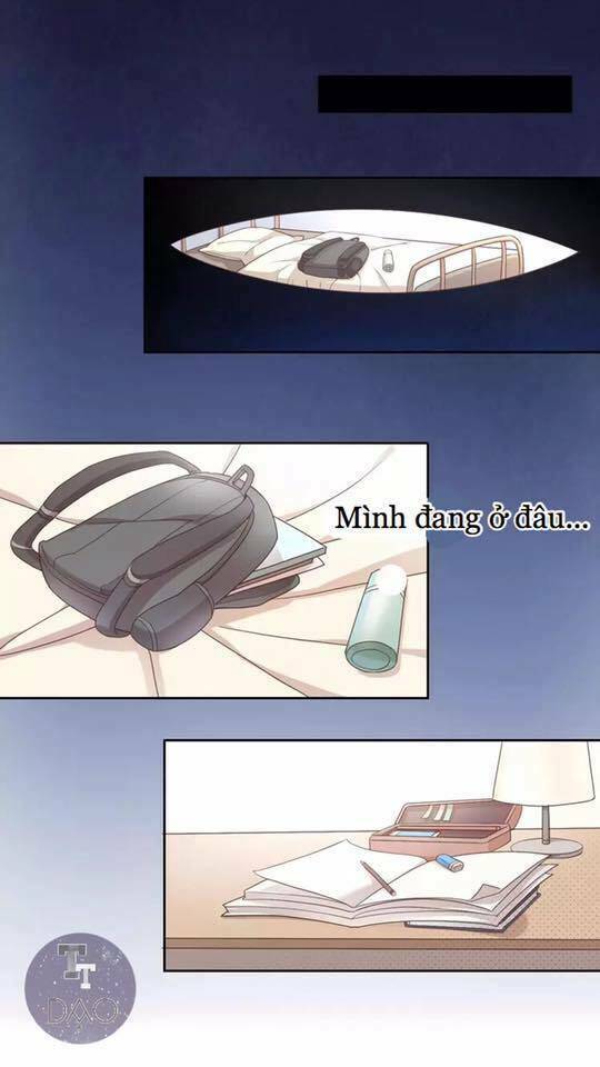 Dưới Móng Vuốt Mèo: Chapter 19