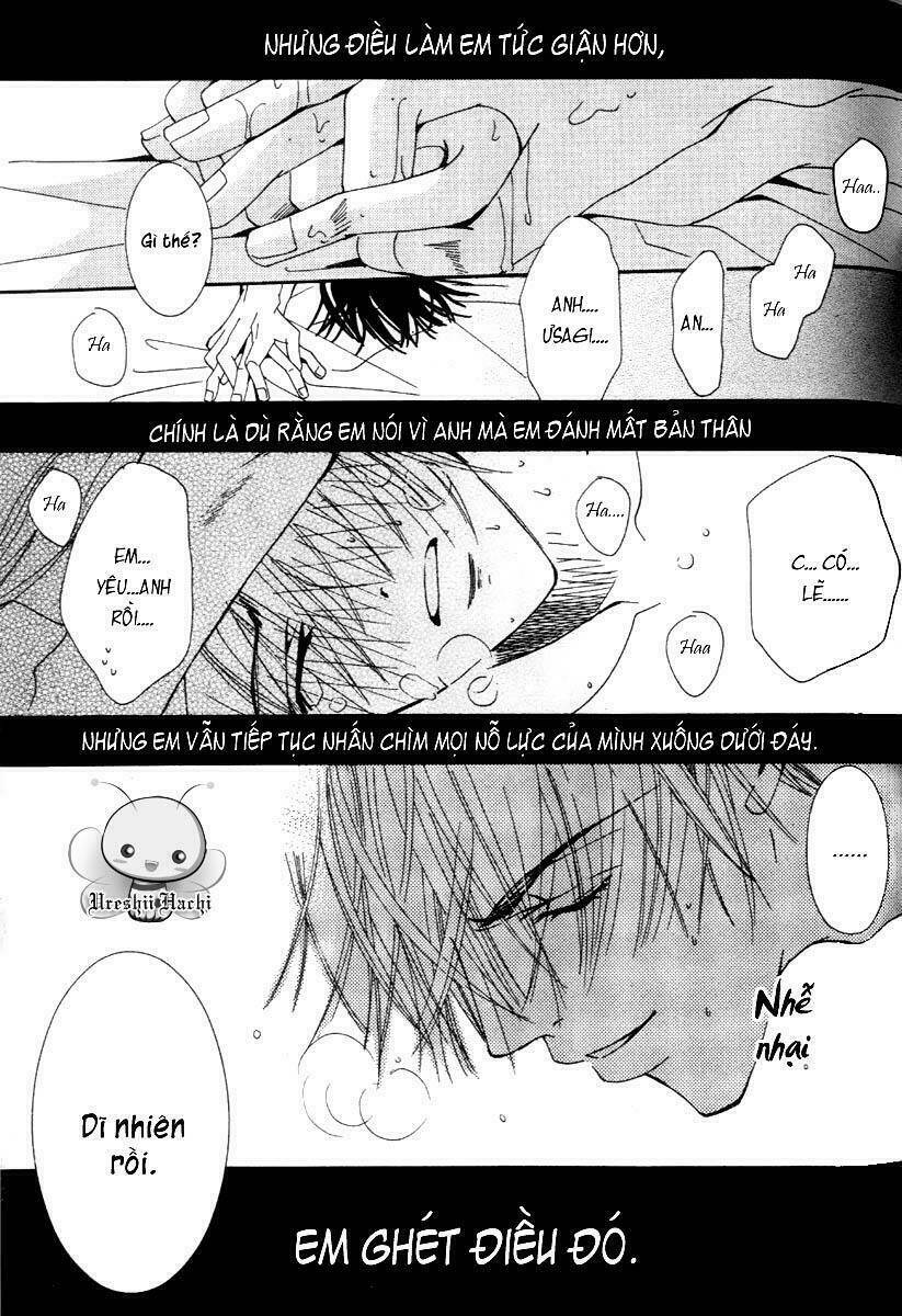 Sự Lãng Mạn Thuần Khiết: Chapter 6