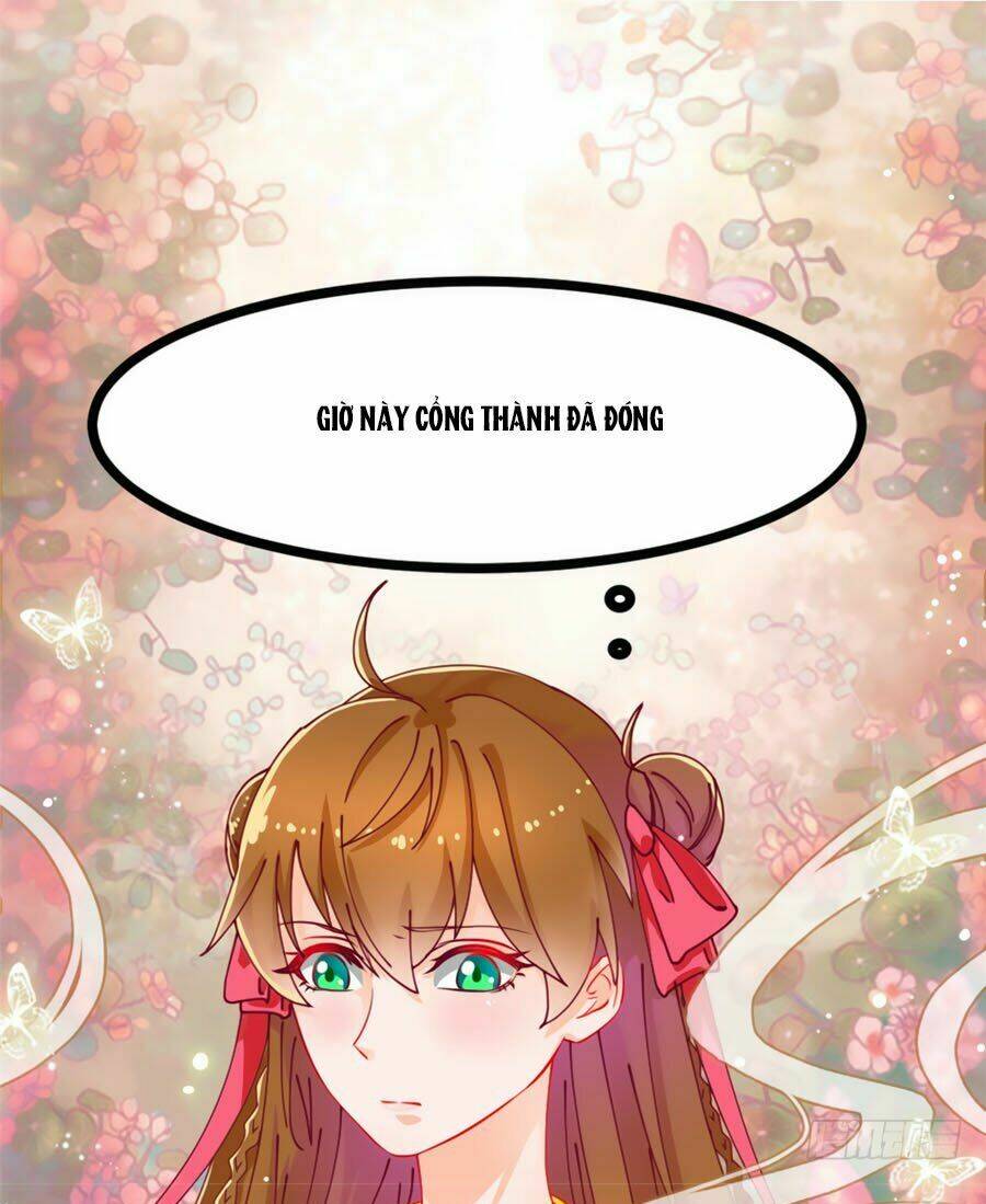 Ngọc Vi Mai: Chapter 5