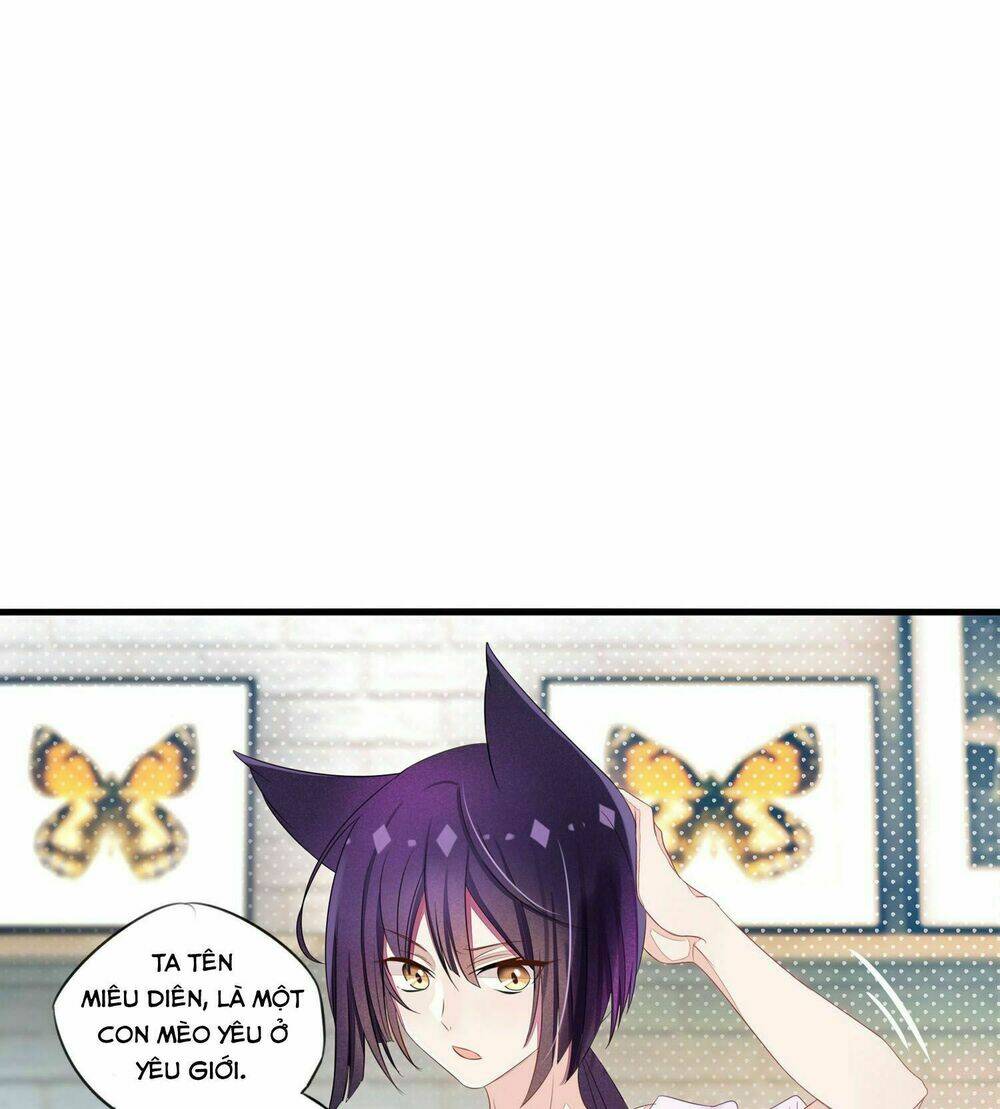 Làm Mèo Của Ta: Chapter 6