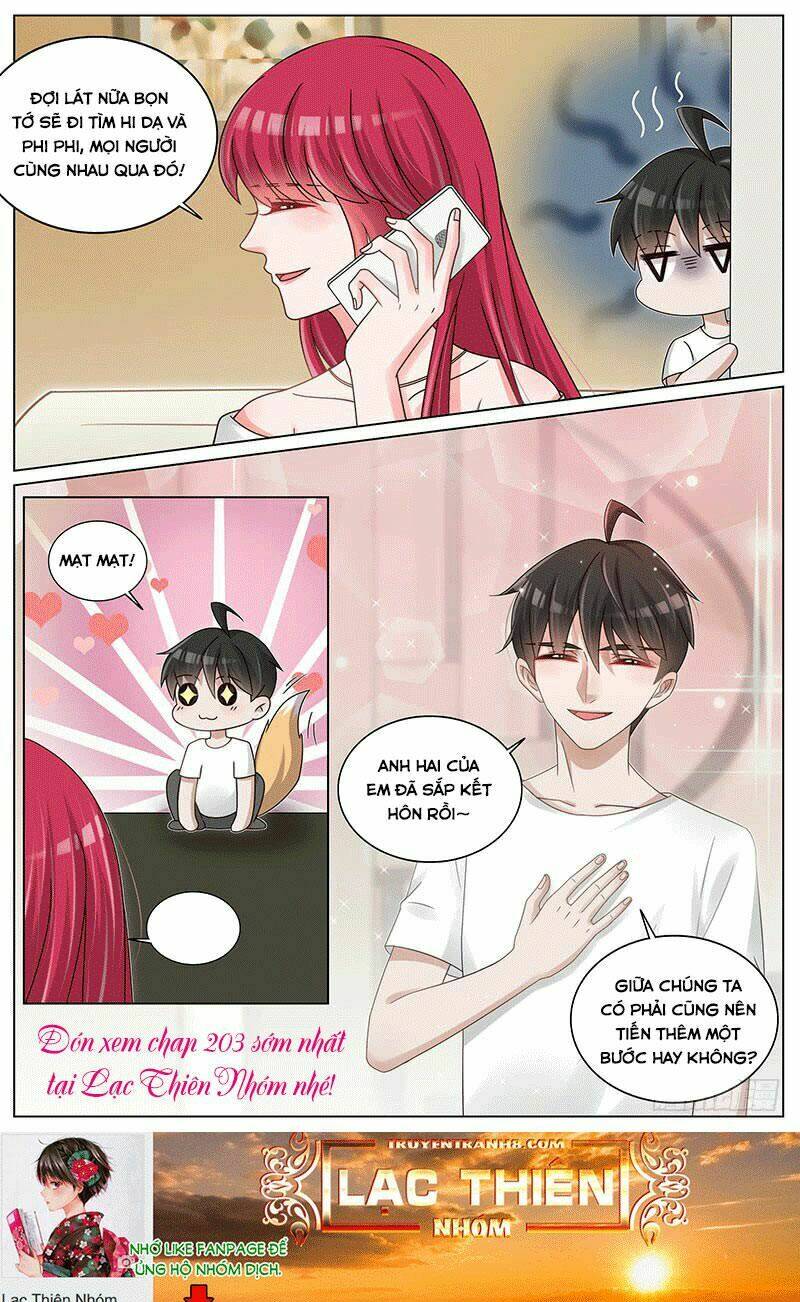 Vương Bài Giáo Thảo: Chapter 202