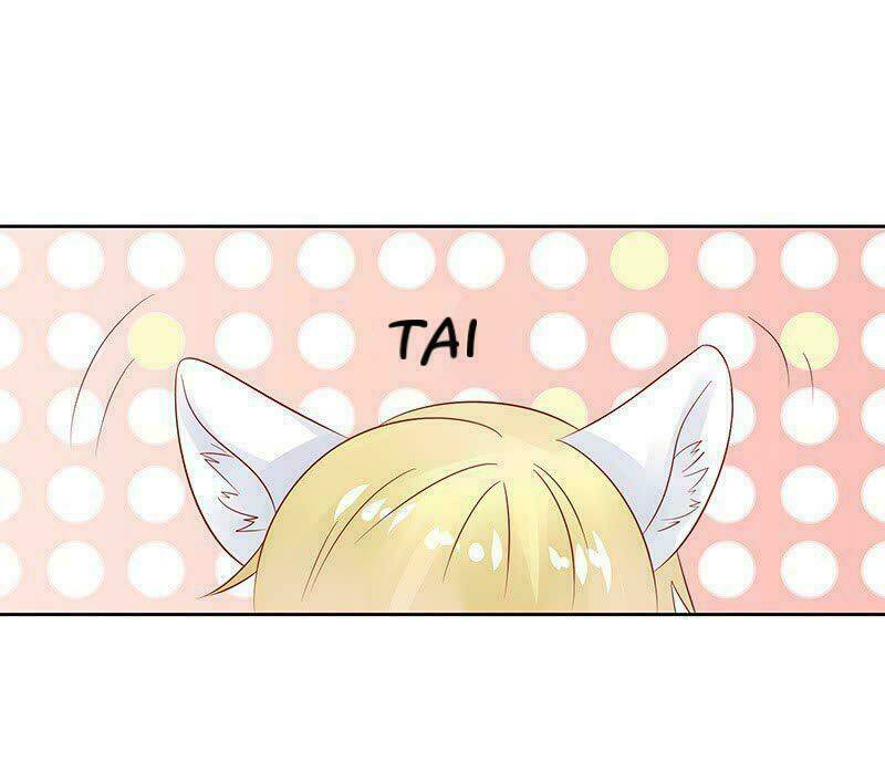 Băng Sơn Học Trưởng Không Được Chọc: Chapter 14