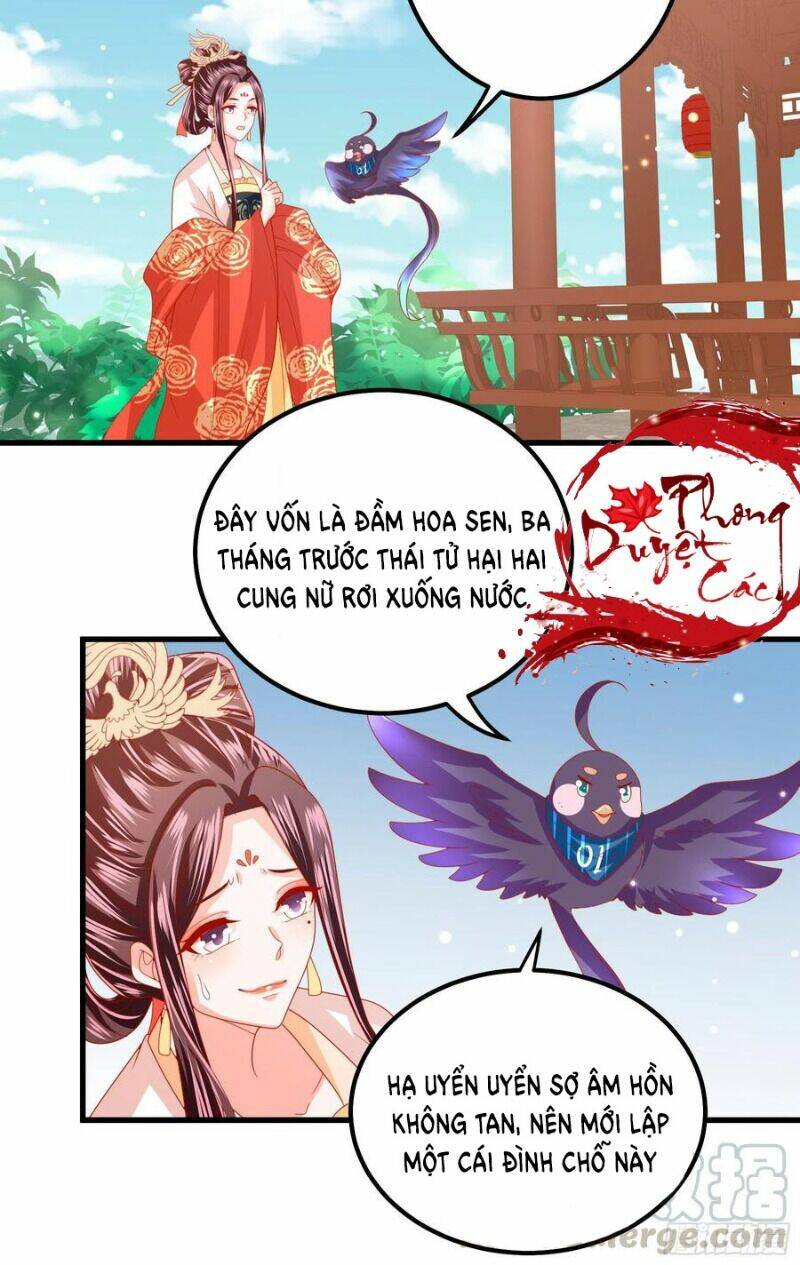 Ta Phải Làm Hoàng Hậu: Chapter 29