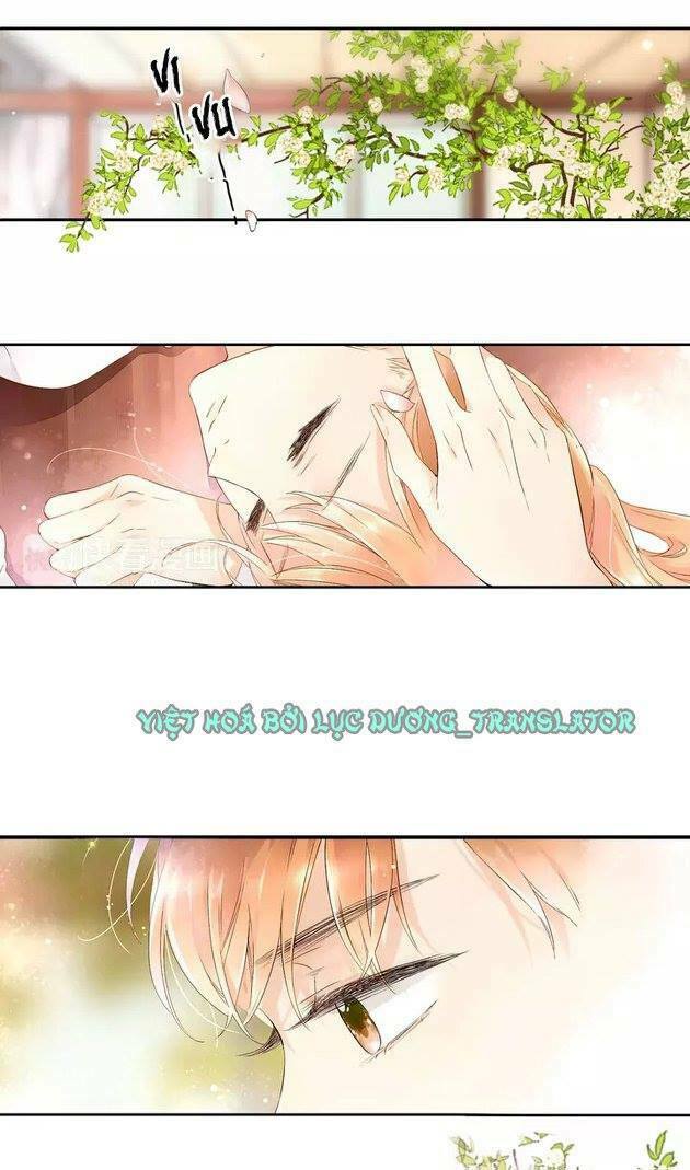 Tình yêu là màu hoa anh thảo: Chapter 20.5