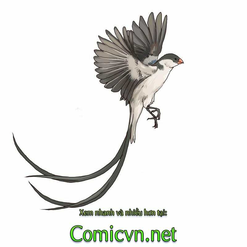 Thế Giới Cận Tử: Chapter 2