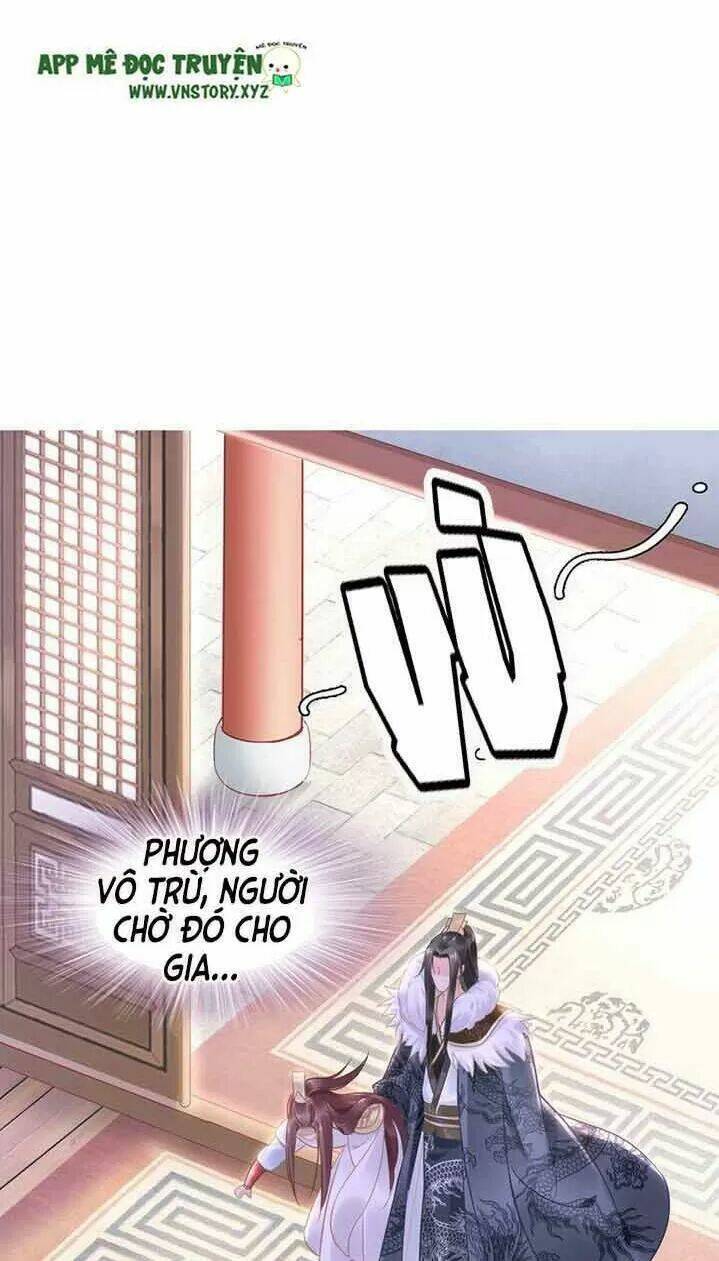 Nhất Sinh Nhất Thế Tiếu Thương Khung: Chapter 15