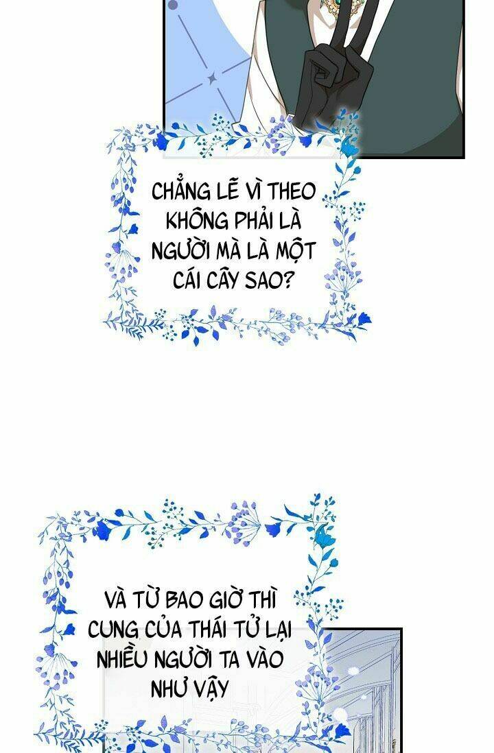 Ba Người Anh Trai Của Tôi Là Bạo Quân: Chapter 27