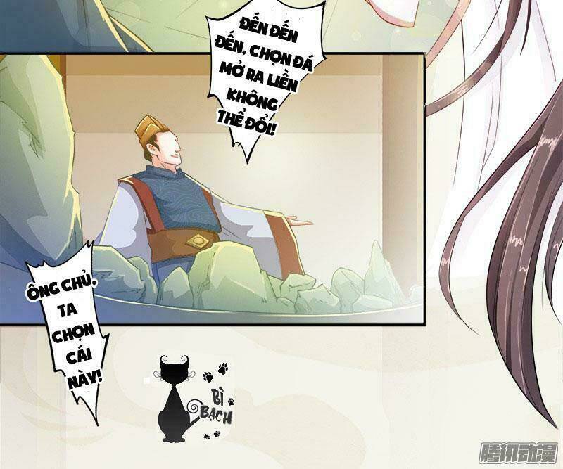 Tuyệt Thế Luyện Đan Sư: Chapter 6