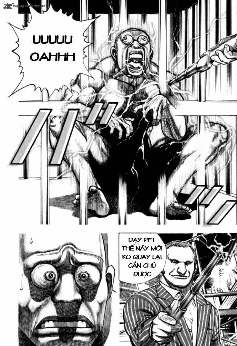 Tough - Miyazawa Kiichi: Chapter 174