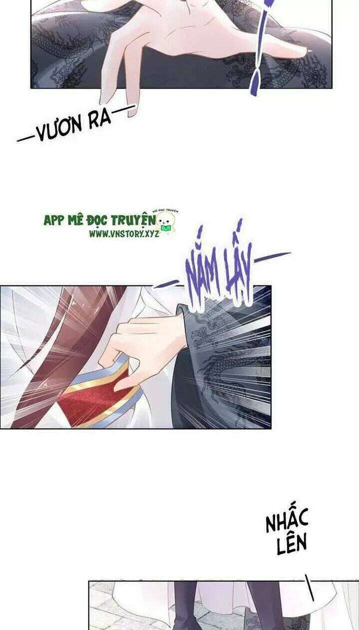 Nhất Sinh Nhất Thế Tiếu Thương Khung: Chapter 15