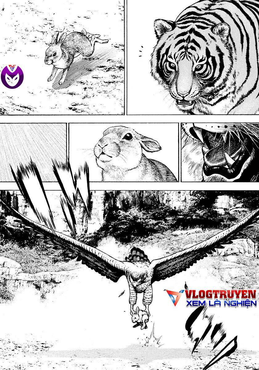 Tough - Miyazawa Kiichi: Chapter 426