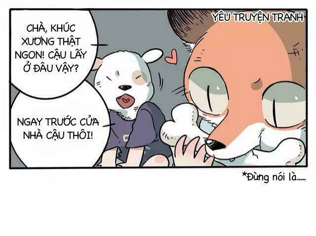 Bạn Trai Tôi Là Cáo Cam: Chapter 1