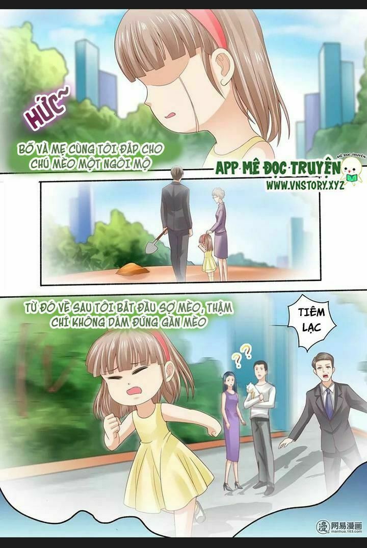 Cưng Chiều Vợ Yêu: Chapter 73: Chuyện cũ về mèo