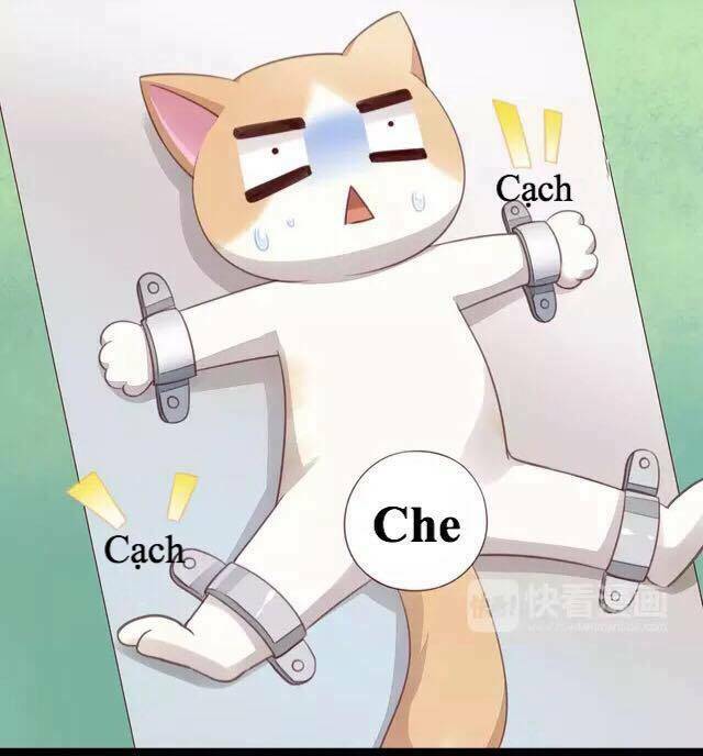 Dưới Móng Vuốt Mèo: Chapter 16