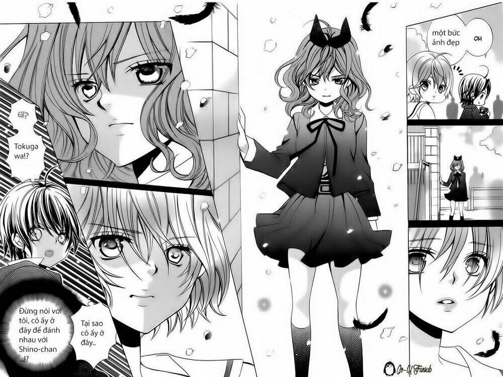 Cuộc Gặp Gỡ Diệu Kỳ: Chapter 65