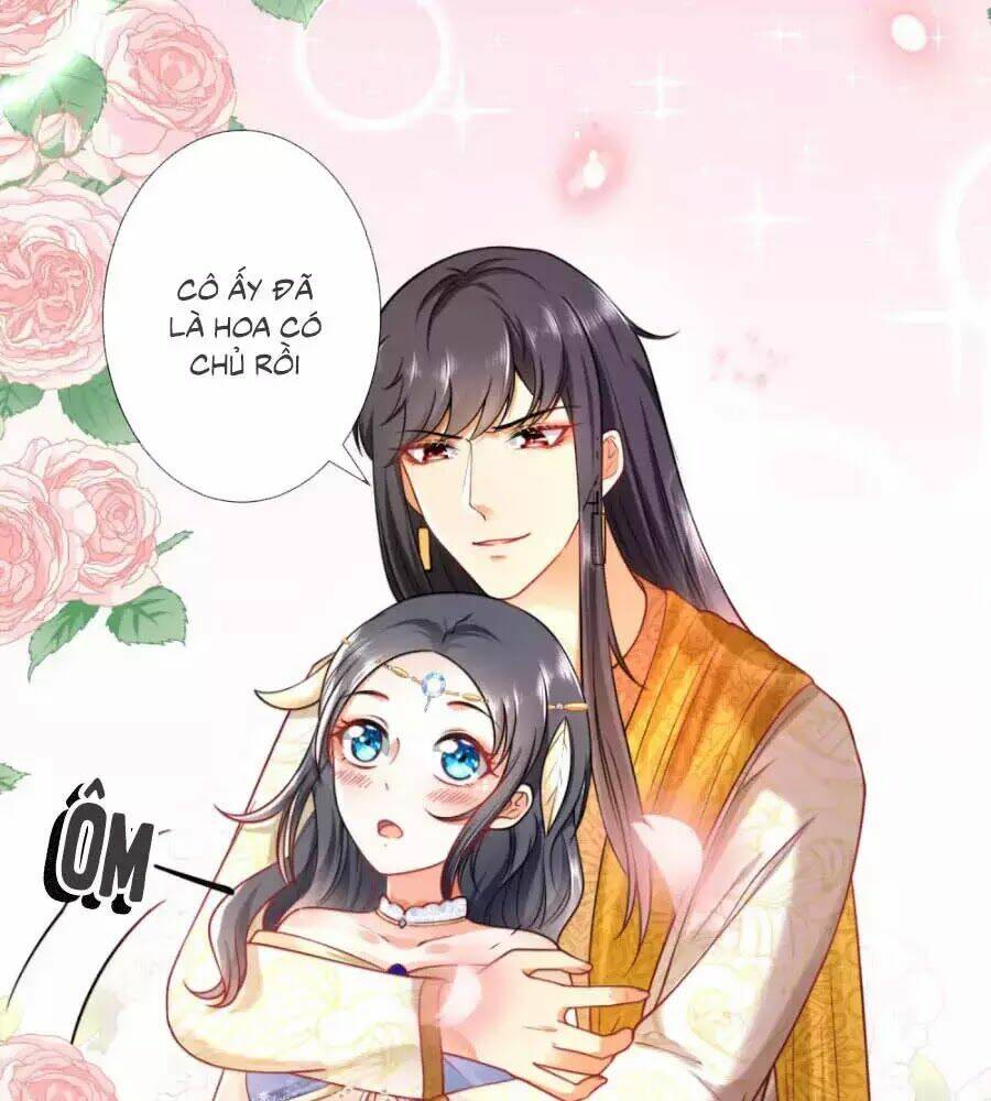 Sủng Hậu Của Vương: Chapter 15
