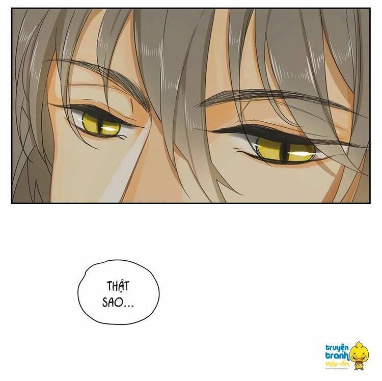 Cứu Mạng! Loài Mèo Thống Trị Thế Giới Rồi!: Chapter 15