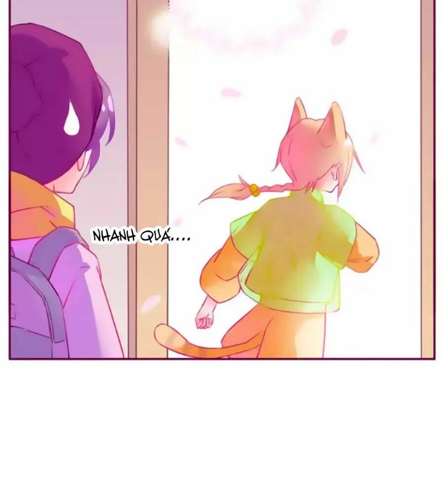 Đừng Nghịch, Ta Chỉ Muốn Yên Tĩnh: Chapter 64