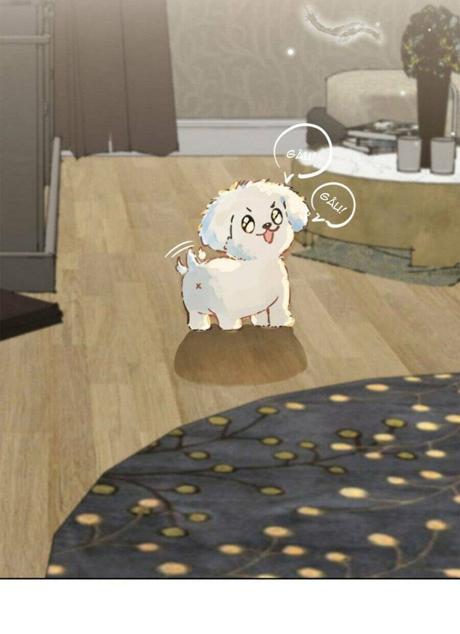 Tâm Động Thuấn Di: Chapter 81