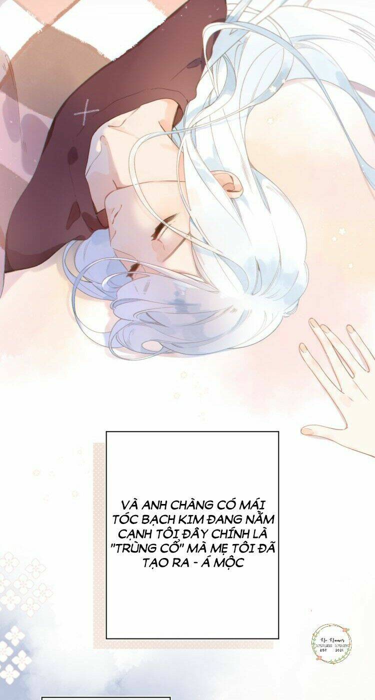 Sos! Tôi Đã Yêu Một Con Sâu Bướm (Phần 2): Chapter 1