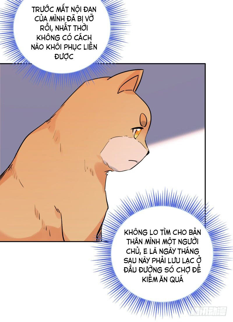 Lụ Đạn, Hôm Nay Lại Cũng Không Thể Biến Thành Người Được: Chapter 2