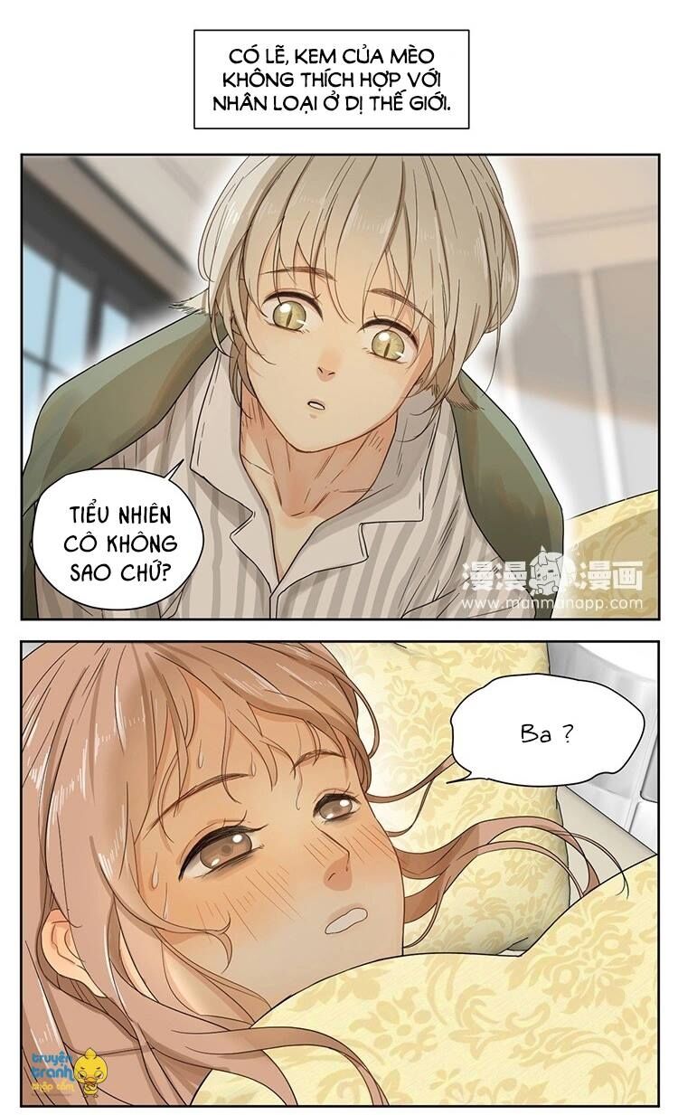 Cứu mạng ! Loài mèo thống trị thế giới rồi !: Chapter 14