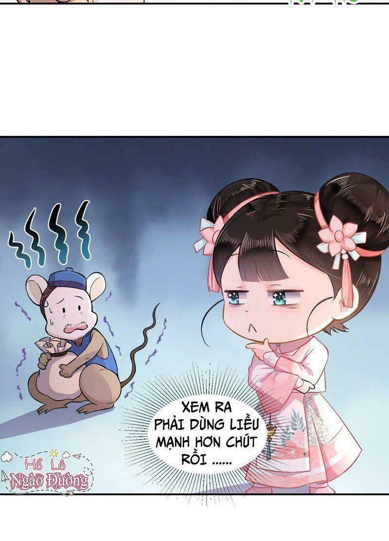 Quận Chúa Vững Vàng, Thiết Lập Nhân Vật Không Thể Vỡ: Chapter 4