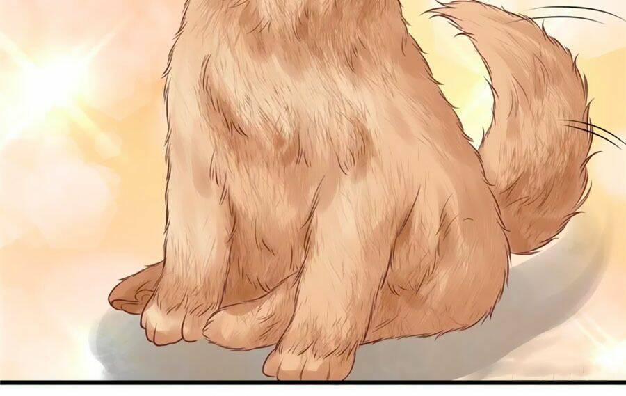 Nữ Đế Livestream Công Lược: Chapter 7