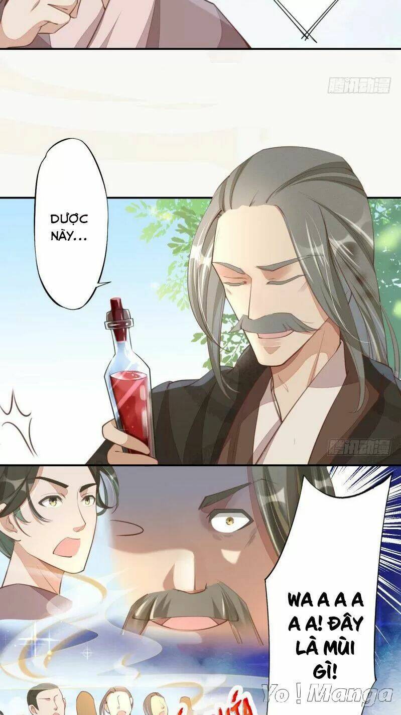 Tuyệt Thế Luyện Đan Sư: Chapter 66