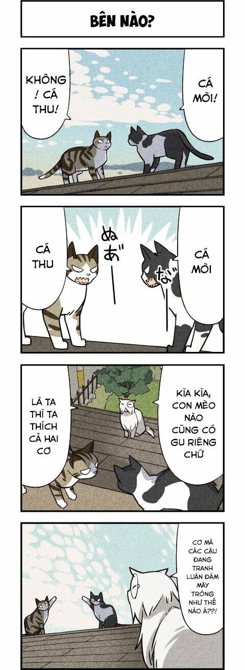 We Are Cat: Chapter 12