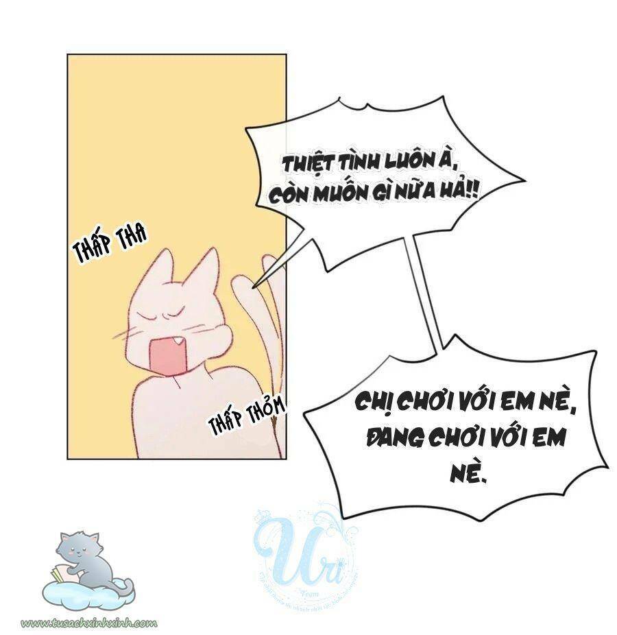 Nhật Ký Nấm Ma Cô: Chapter 22