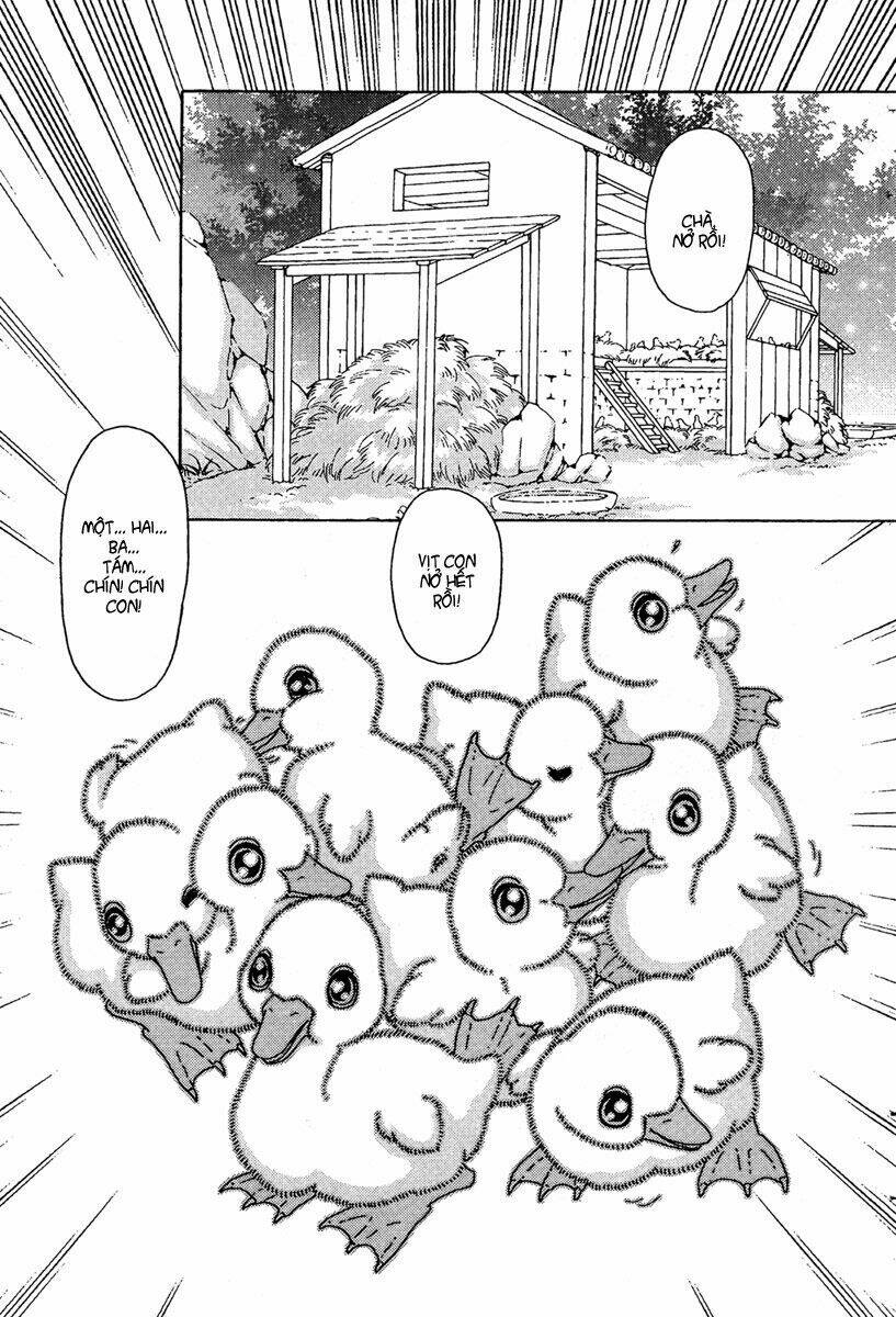 Bird Of Youth: Chapter 5