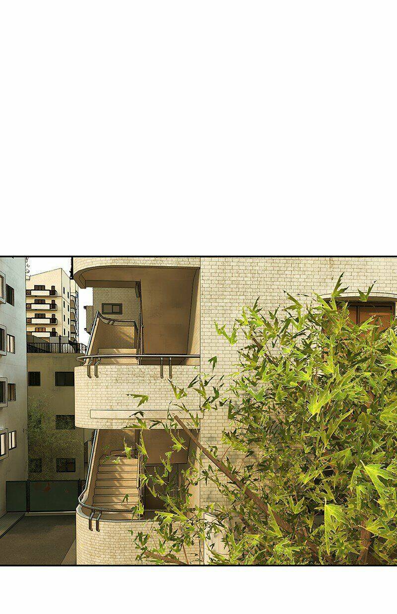 Nửa Đêm Ở Poppy Land: Chapter 45