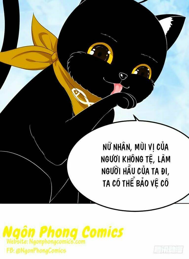 Thâm Hải Chi Ca: Chapter 11