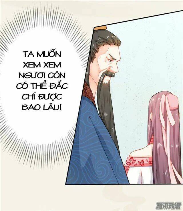 Tuyệt Thế Luyện Đan Sư: Chapter 14