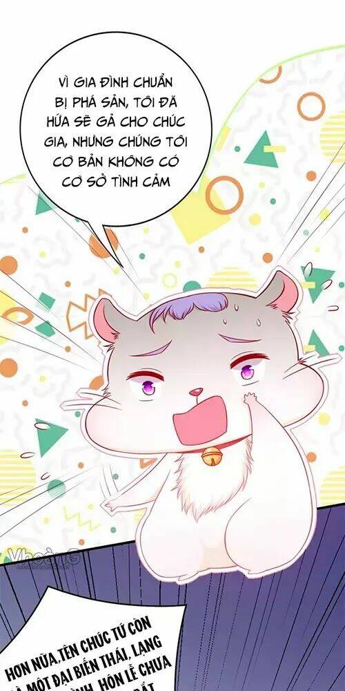 Kế Ước Ngọt Sủng:quốc Dân Lão Công Đích Tiểu Chiếm Giữ Thử: Chapter 2