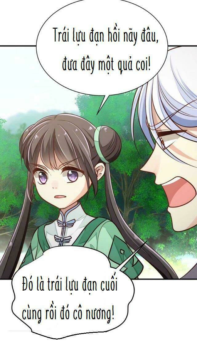 Trọng Sinh Thành Tiểu Nha Đầu: Chapter 12